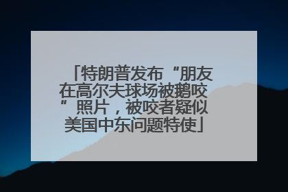 特朗普发布“朋友在高尔夫球场被鹅咬”照片，被咬者疑似美国中东问题特使