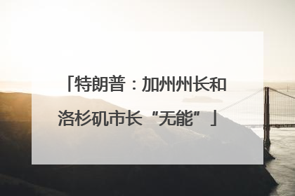 特朗普:加州州长和洛杉矶市长“无能”