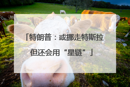 特朗普：或挪走特斯拉 但还会用“星链”