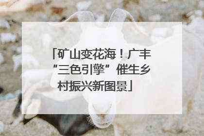 矿山变花海！广丰“三色引擎”催生乡村振兴新图景