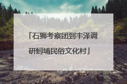 石狮考察团到丰泽调研蟳埔民俗文化村