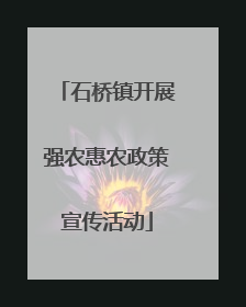 石桥镇开展强农惠农政策宣传活动