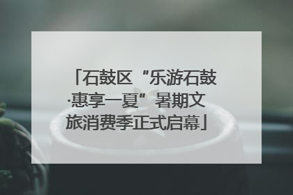 石鼓区“乐游石鼓·惠享一夏”暑期文旅消费季正式启幕