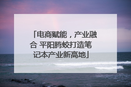 电商赋能，产业融合 平阳腾蛟打造笔记本产业新高地