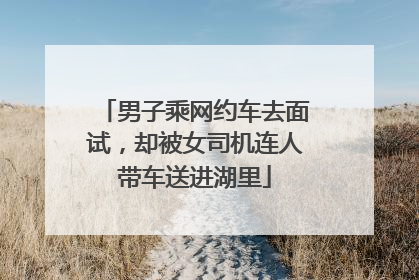 男子乘网约车去面试，却被女司机连人带车送进湖里