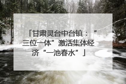 甘肃灵台中台镇：“三位一体”激活集体经济“一池春水”