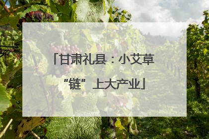 甘肃礼县：小艾草“链”上大产业