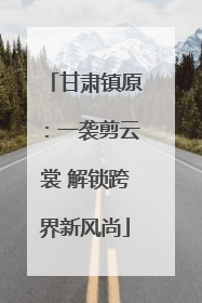 甘肃镇原：一袭剪云裳 解锁跨界新风尚
