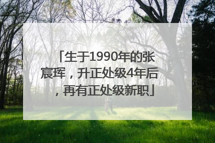 生于1990年的张宸珲，升正处级4年后，再有正处级新职