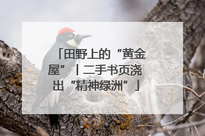 田野上的“黄金屋”丨二手书页浇出“精神绿洲”