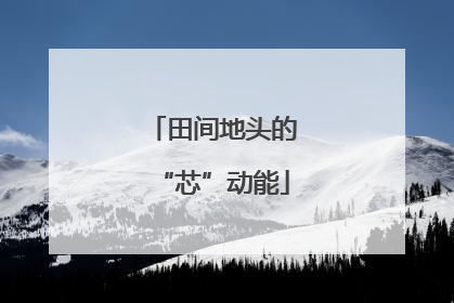 田间地头的“芯”动能