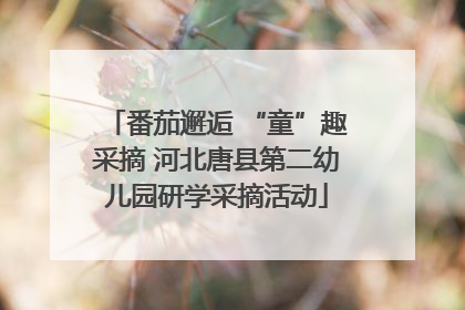 番茄邂逅 “童”趣采摘 河北唐县第二幼儿园研学采摘活动