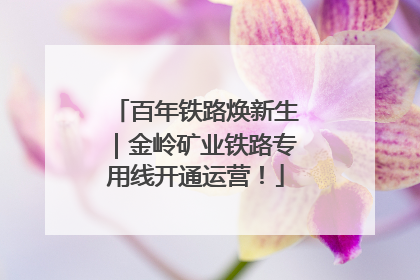 百年铁路焕新生｜金岭矿业铁路专用线开通运营！