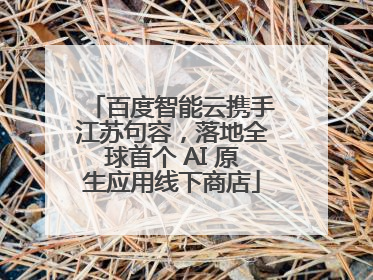 百度智能云携手江苏句容，落地全球首个 AI 原生应用线下商店