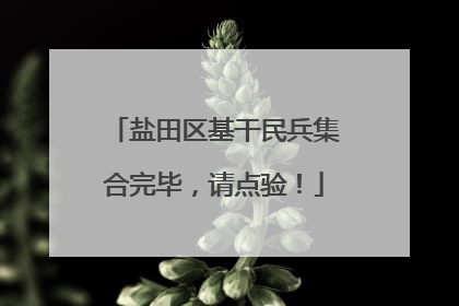 盐田区基干民兵集合完毕，请点验！