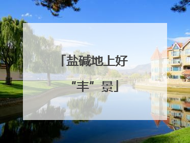 盐碱地上好“丰”景
