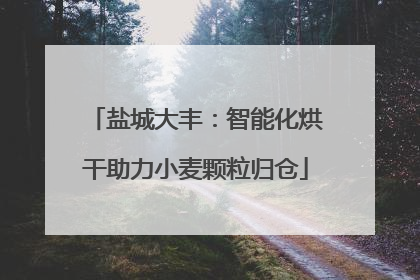 盐城大丰：智能化烘干助力小麦颗粒归仓