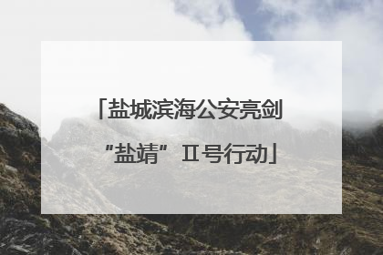 盐城滨海公安亮剑“盐靖”Ⅱ号行动