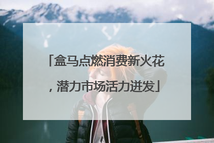 盒马点燃消费新火花，潜力市场活力迸发