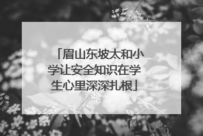 眉山东坡太和小学让安全知识在学生心里深深扎根