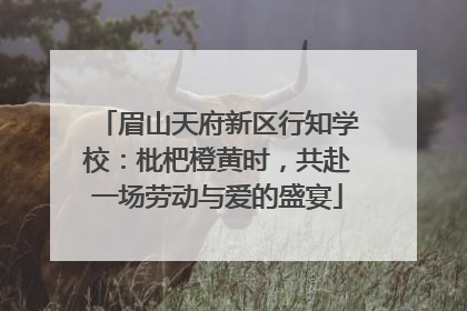 眉山天府新区行知学校：枇杷橙黄时，共赴一场劳动与爱的盛宴