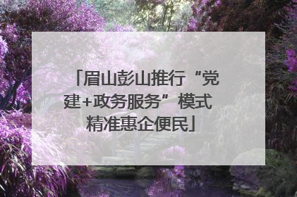 眉山彭山推行“党建+政务服务”模式 精准惠企便民
