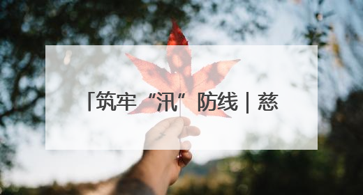 筑牢“汛”防线｜慈利县江垭镇：党旗映溇水 清淤见担当