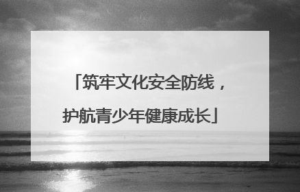 筑牢文化安全防线，护航青少年健康成长