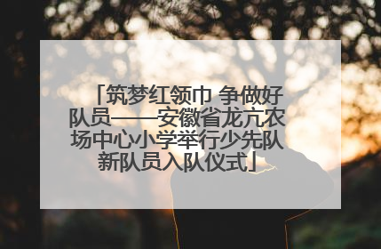 筑梦红领巾 争做好队员——安徽省龙亢农场中心小学举行少先队新队员入队仪式