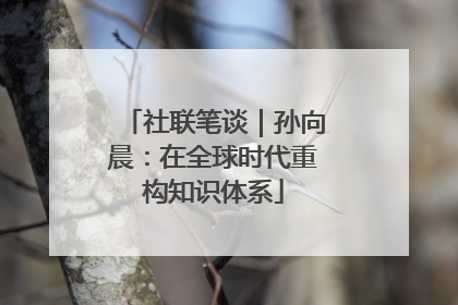社联笔谈｜孙向晨：在全球时代重构知识体系