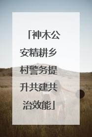 神木公安精耕乡村警务提升共建共治效能