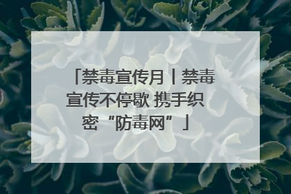 禁毒宣传月丨禁毒宣传不停歇 携手织密“防毒网”