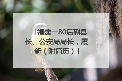 福建一80后副县长、公安局局长，履新（附简历）
