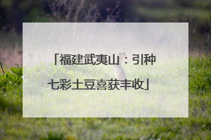 福建武夷山：引种七彩土豆喜获丰收