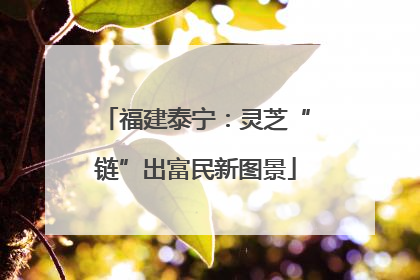 福建泰宁：灵芝“链”出富民新图景