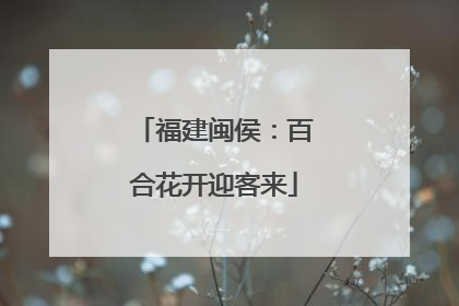 福建闽侯：百合花开迎客来