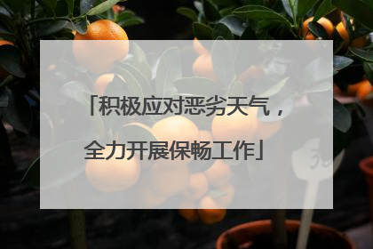 积极应对恶劣天气，全力开展保畅工作
