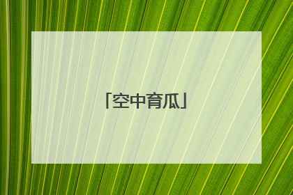 空中育瓜
