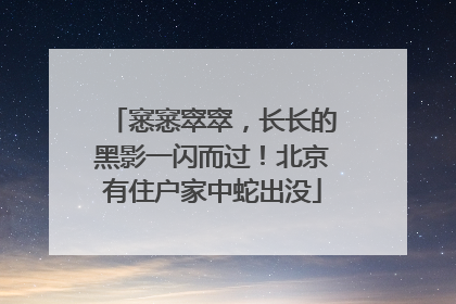 窸窸窣窣，长长的黑影一闪而过！北京有住户家中蛇出没