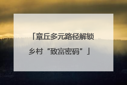 章丘多元路径解锁乡村“致富密码”