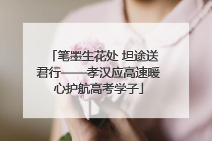 笔墨生花处 坦途送君行——孝汉应高速暖心护航高考学子