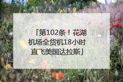 第102条！花湖机场全货机18小时直飞美国达拉斯