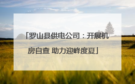 罗山县供电公司：开展机房自查 助力迎峰度夏