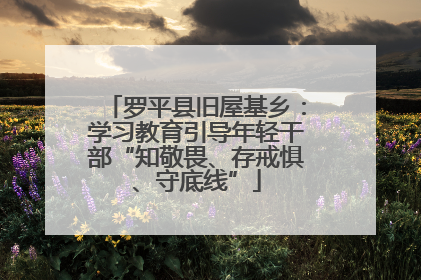 罗平县旧屋基乡：学习教育引导年轻干部“知敬畏、存戒惧、守底线”