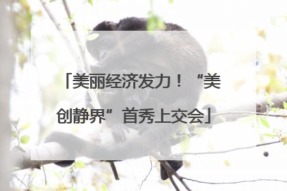 美丽经济发力！“美创静界”首秀上交会