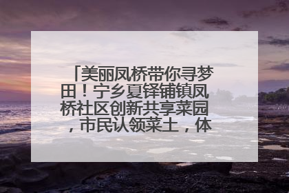 美丽凤桥带你寻梦田！宁乡夏铎铺镇凤桥社区创新共享菜园，市民认领菜土，体验耕种收获乐趣