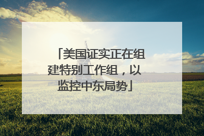 美国证实正在组建特别工作组，以监控中东局势