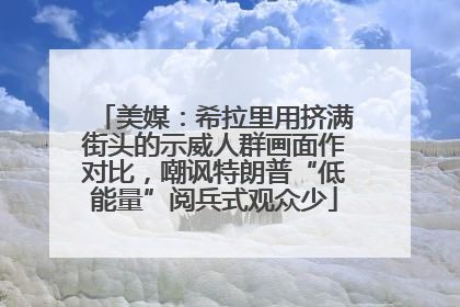 美媒：希拉里用挤满街头的示威人群画面作对比，嘲讽特朗普“低能量”阅兵式观众少