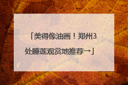 美得像油画！郑州3处睡莲观赏地推荐→