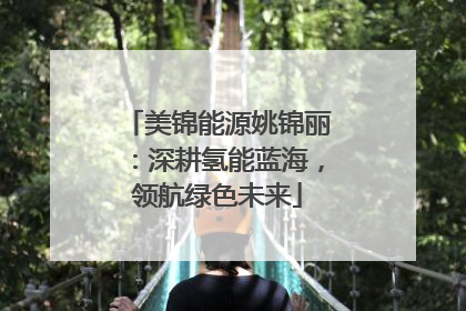 美锦能源姚锦丽：深耕氢能蓝海，领航绿色未来